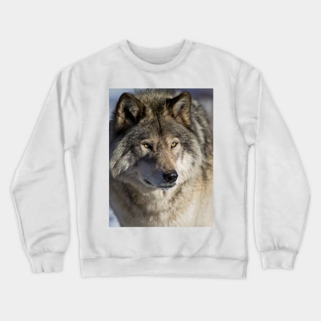 Timber Wolf Crewneck Sweatshirt by jaydee1400